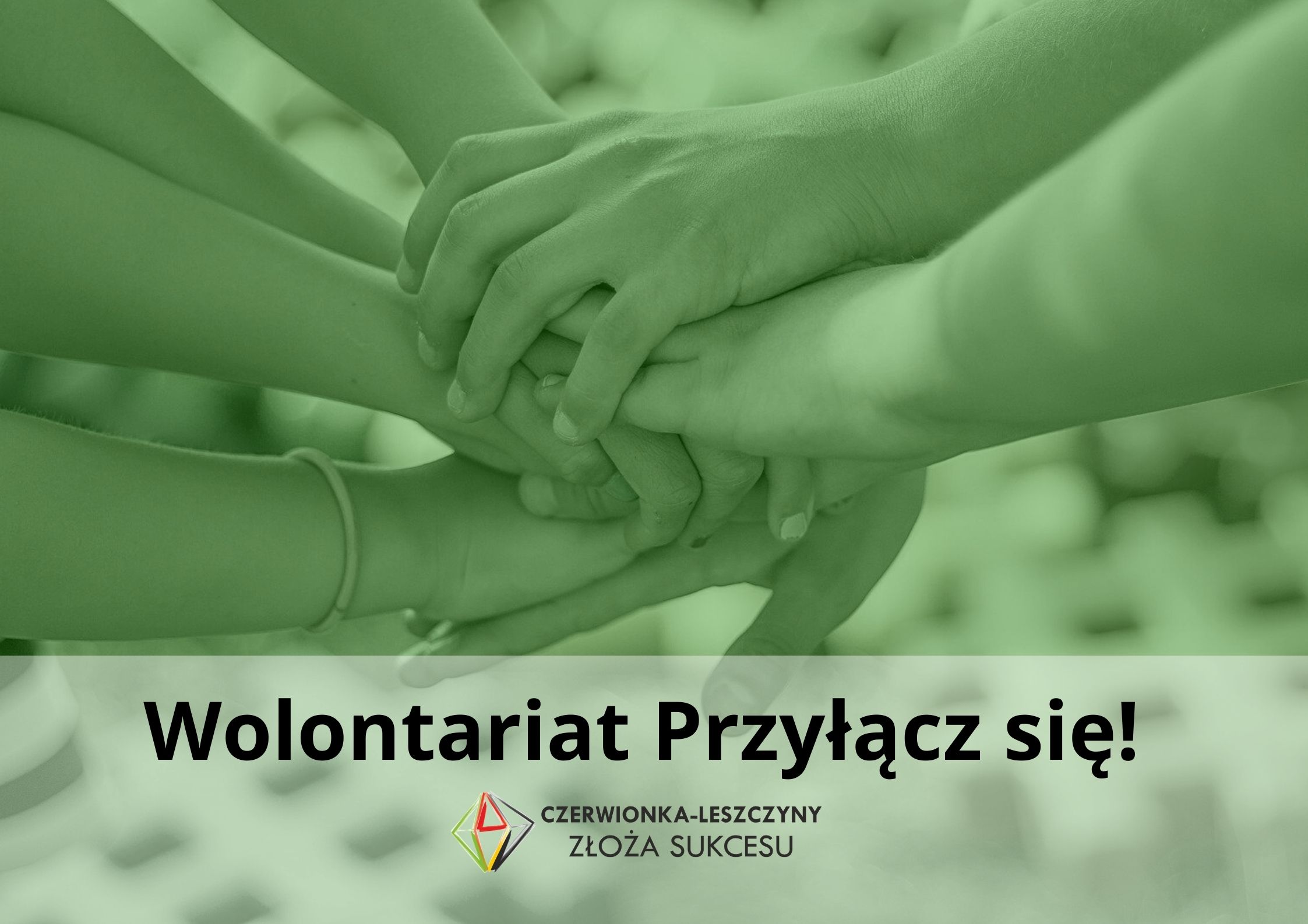 Wolontariat